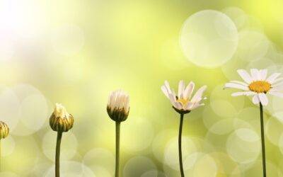 A Good News Post. Where We Are Now – and Where We’re Going