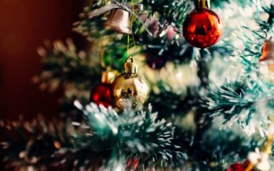 Festive Opening Hours 2022